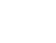 Bear Market Financial Services Logo