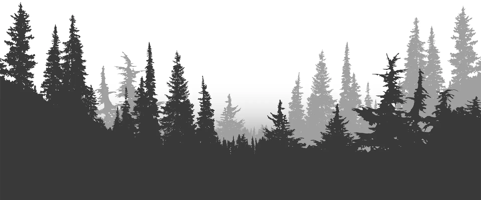 treeline