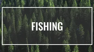 Card - Fishing